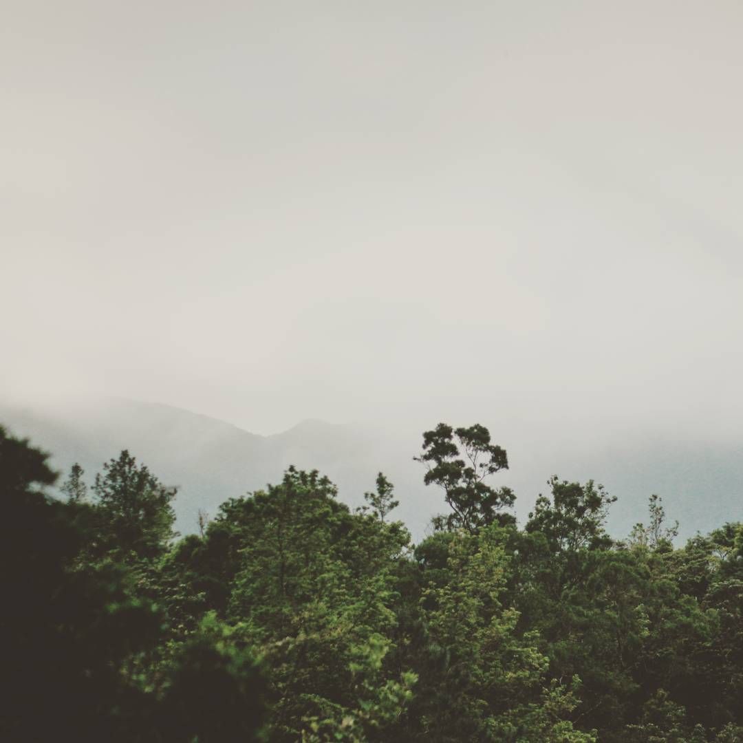 p-2015-09-25-10-18-54-000-1-BSpjTugF