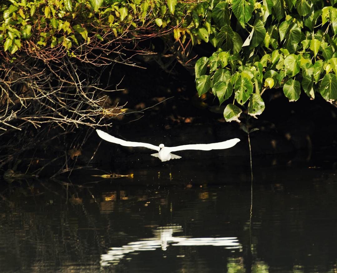 p-2017-01-02-19-14-12-000-1-BnGTArrb