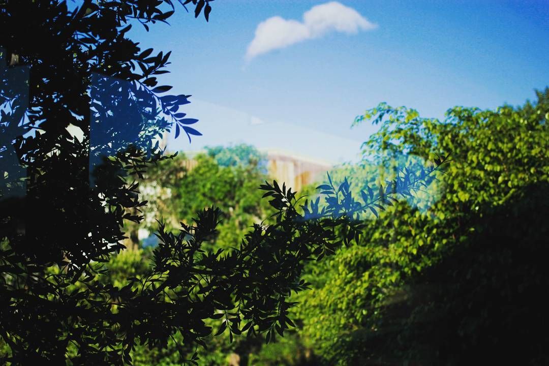 p-2018-01-05-04-38-40-000-1-CDG5_4vY